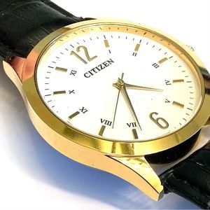 Brand NEW Men’s Watch. XL size. Gold plated case.
